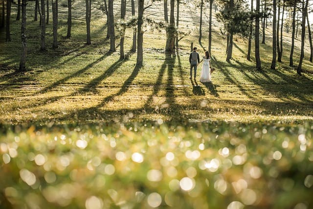 Comment annoncer son mariage en vidéo en Provence ?